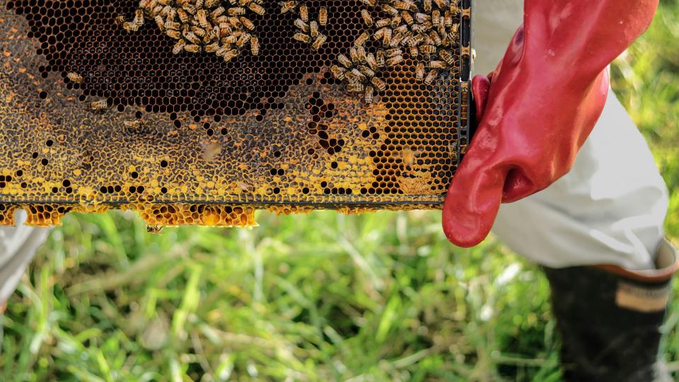 What it Was Like Interning for RStudio