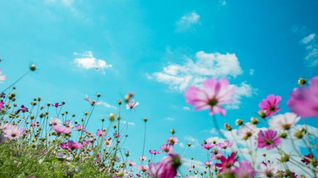 Q1 2023 tidymodels digest