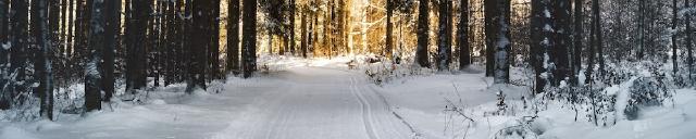 Q4 2023 tidymodels digest